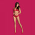 Obsessive Fiery Red Soft Mesh Bra & Pant Set